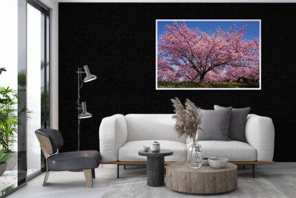 Tekstilne zidne tapete